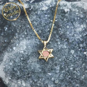 Small-Star-of-David-Necklace-with-The-Entire-Bible-Yisraela-Design-nano-jewelry-338356